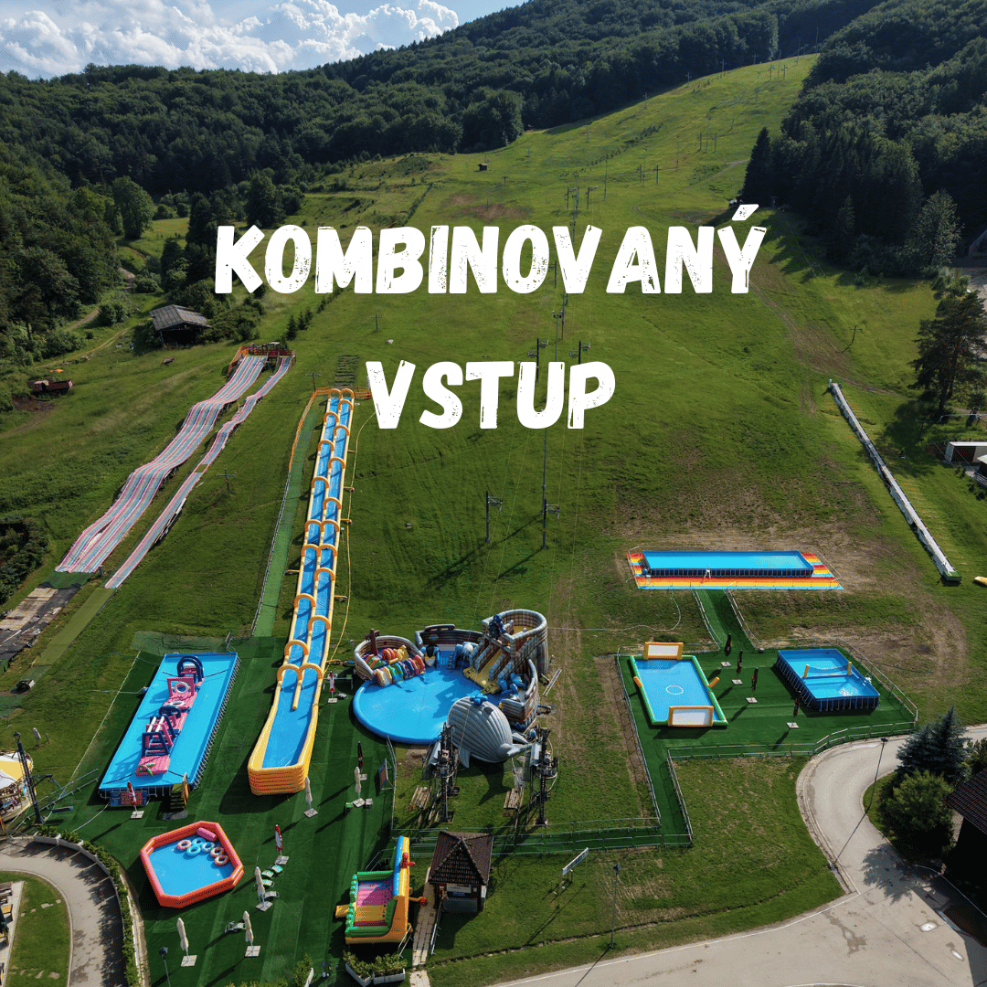 Kombinovaný vstup